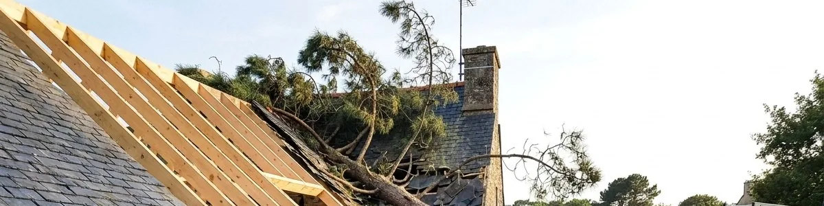 Chevrons neufs posés par Soline Toitures sur une toiture en ardoise de Carnac endommagée par la chute d’un pin